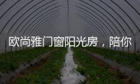 快排公司十年历程，霸屏兔 seo 的崛起与坚守