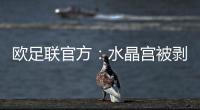 欧足联官方：水晶宫被剥夺欧联杯资格，将参加欧协联