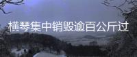 横琴集中销毁逾百公斤过期药品，守护居民食药安全
