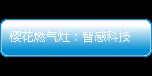 火力	：中式烹饪