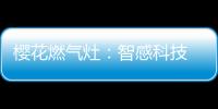 樱花燃气灶	
：智感科技 创安全厨房环境