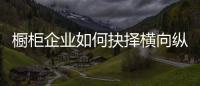 橱柜企业如何抉择横向纵向发展？