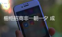 快排公司十年历程，霸屏兔 seo 的崛起与坚守