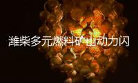 潍柴多元燃料矿山动力闪耀中国国际矿业展，四大关键词解码硬核实力！