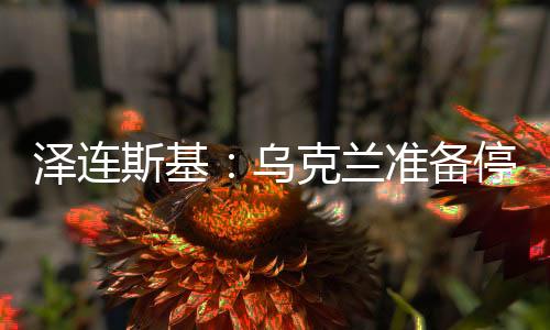 那么停火举措就会生效