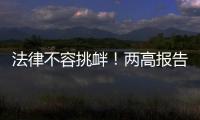 法律不容挑衅！两高报告点名辣笔小球、纸面服刑等