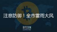 快排公司十年历程，霸屏兔 seo 的崛起与坚守