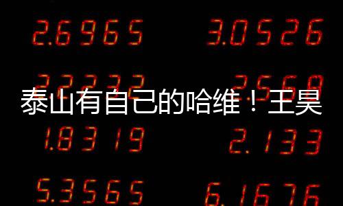 韩导通过自己的泰山努力