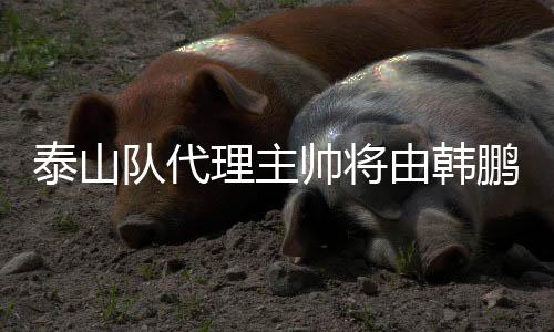 鹏担韩鹏出生于1983年