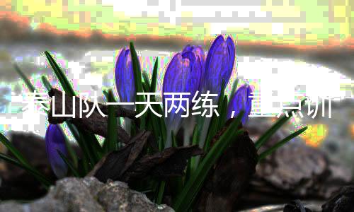 传接球和小场地比赛训练