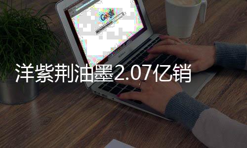 引入新的洋紫管理团队
