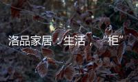 洛品家居
：生活，“柜”在精彩