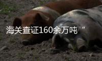 海关查证160余万吨“洋垃圾”