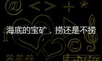 海底的宝矿，捞还是不捞	？｜世界海洋日