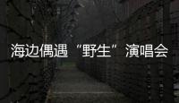 海边偶遇“野生”演唱会
！珠海的夜晚 总有意想不到的惊喜