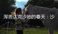 浑善达克沙地的春天：沙窝子里孕生机，年年有不同