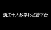 浙江十大数字化监管平台