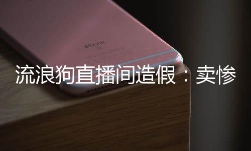 播间在几个流浪狗直播间里