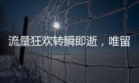 快排公司十年历程，霸屏兔 seo 的崛起与坚守