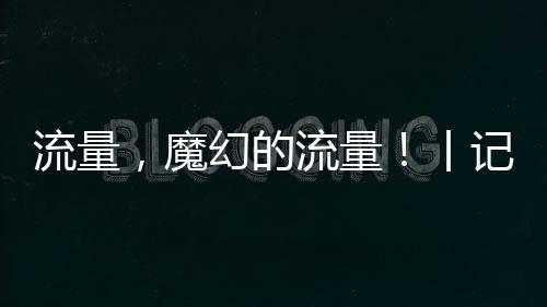 手记在我的流量设想里