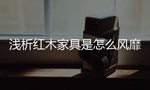 浅析2	、红木深化其文化属性