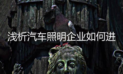 照明积极寻找新的何进出路