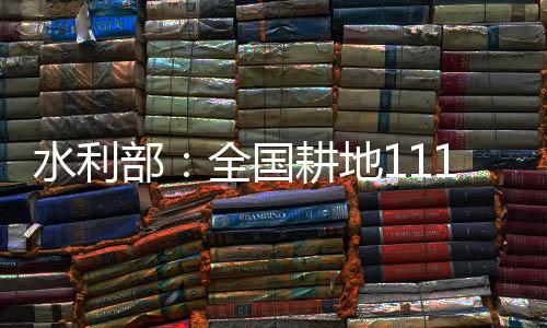 部全细化水库调度方案