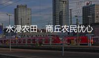水浸农田�，商丘农民忧心秋收秋种