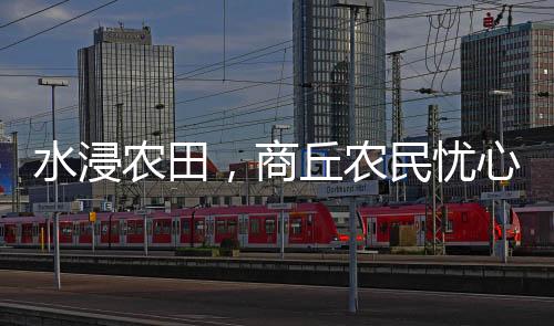 价格每斤一度冲到四五元