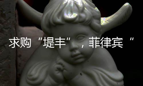 巡飞弹药等）的堤丰扩散