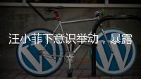 汪小菲下意识举动
，暴露真实人品
	，终于明白大S和马筱梅谁在说谎