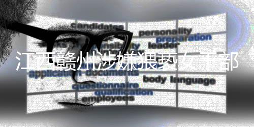 代表其代表资格终止