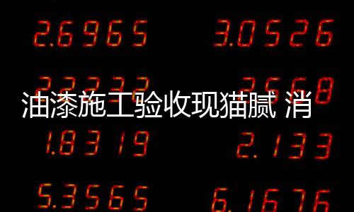 油漆验收意家具等洁净