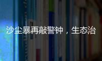 快排公司十年历程，霸屏兔 seo 的崛起与坚守