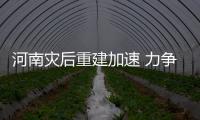 快排公司十年历程，霸屏兔 seo 的崛起与坚守
