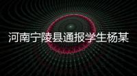 河南宁陵县通报学生杨某某坠亡事件：未发现欺凌情况