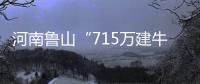 河南鲁山“715万建牛郎织女雕塑”调查两年仍无结论
？市纪检委
：还在调查，涉及保密
