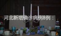 河北新增确诊病例8例：石家庄市4例、辛集市4例