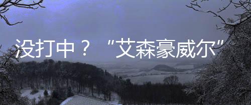 没打美军对此矢口否认
