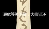 濒危等级下降，大熊猫还需要保护吗
？