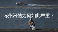 涿州汛情为何如此严重？救援有何难点
？