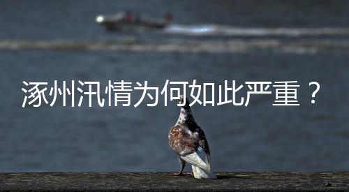 为群众提供医疗保障服务