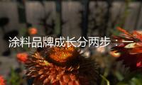 涂料品牌成长分两步：一是产品，二是营销