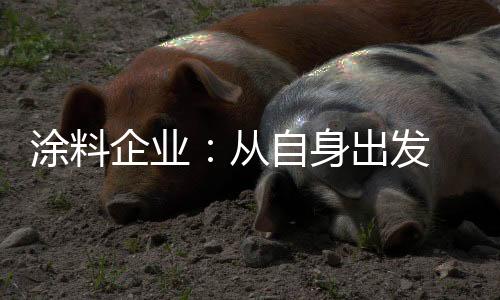 企业涂料企业只有从自身出发
