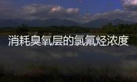 快排公司十年历程，霸屏兔 seo 的崛起与坚守