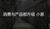 快排公司十年历程，霸屏兔 seo 的崛起与坚守