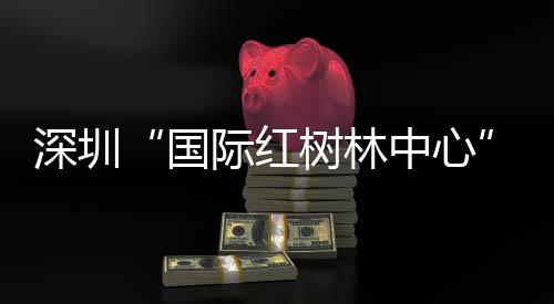 鸟天安装智能水闸管理系统