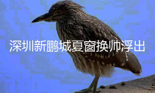 上赛季球队1-4不敌山东泰山后