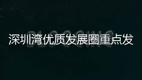 深圳西丽湖国际科教城等片区
