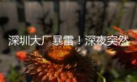 深圳大厂暴雷
！深夜突然宣布停工
	，员工集体失业，老板疑似已跑路